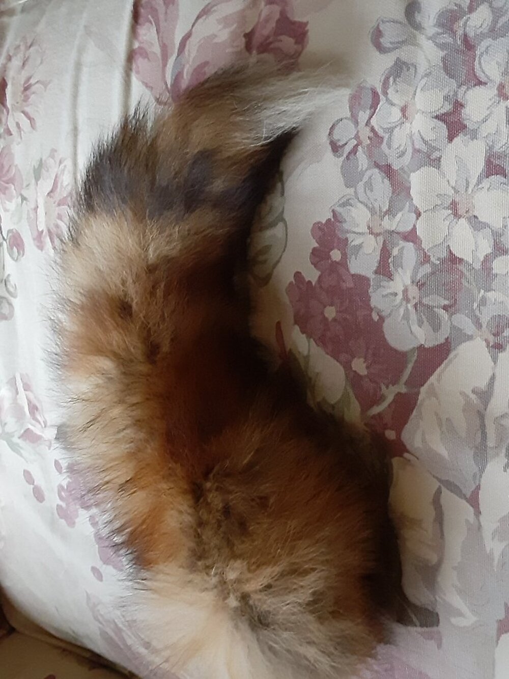 Fox Tale Real Fur